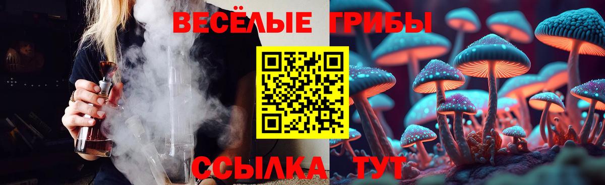 Прохладный  где купить наркоту  Вход с VPN  Псилоцибиновые грибы Psilocybine cubensis 